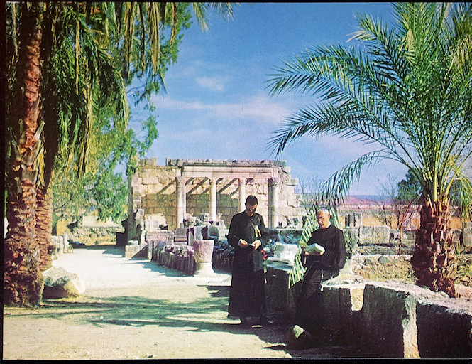 (image for) postcard Israel #0011